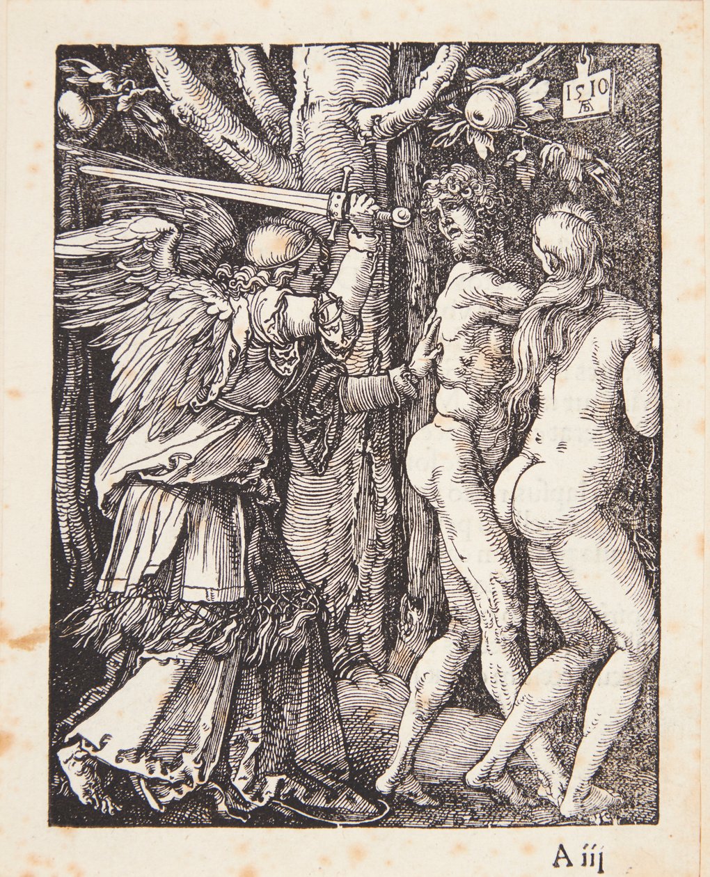A Expulsão do Paraíso de Albrecht Dürer