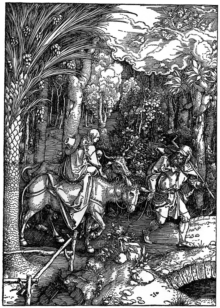A fuga para o Egito, 1502-1505, 1936 de Albrecht Dürer