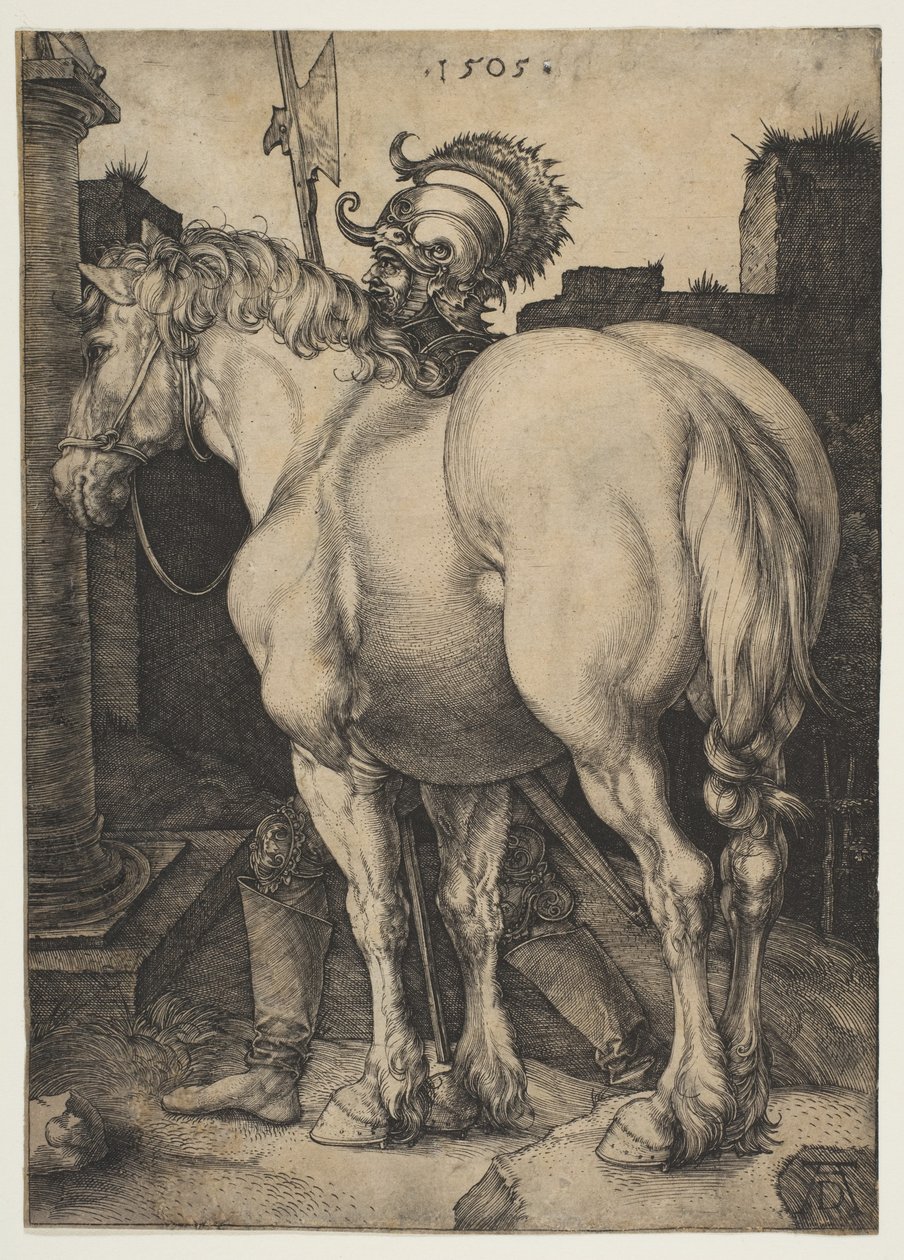 O grande cavalo de Albrecht Dürer