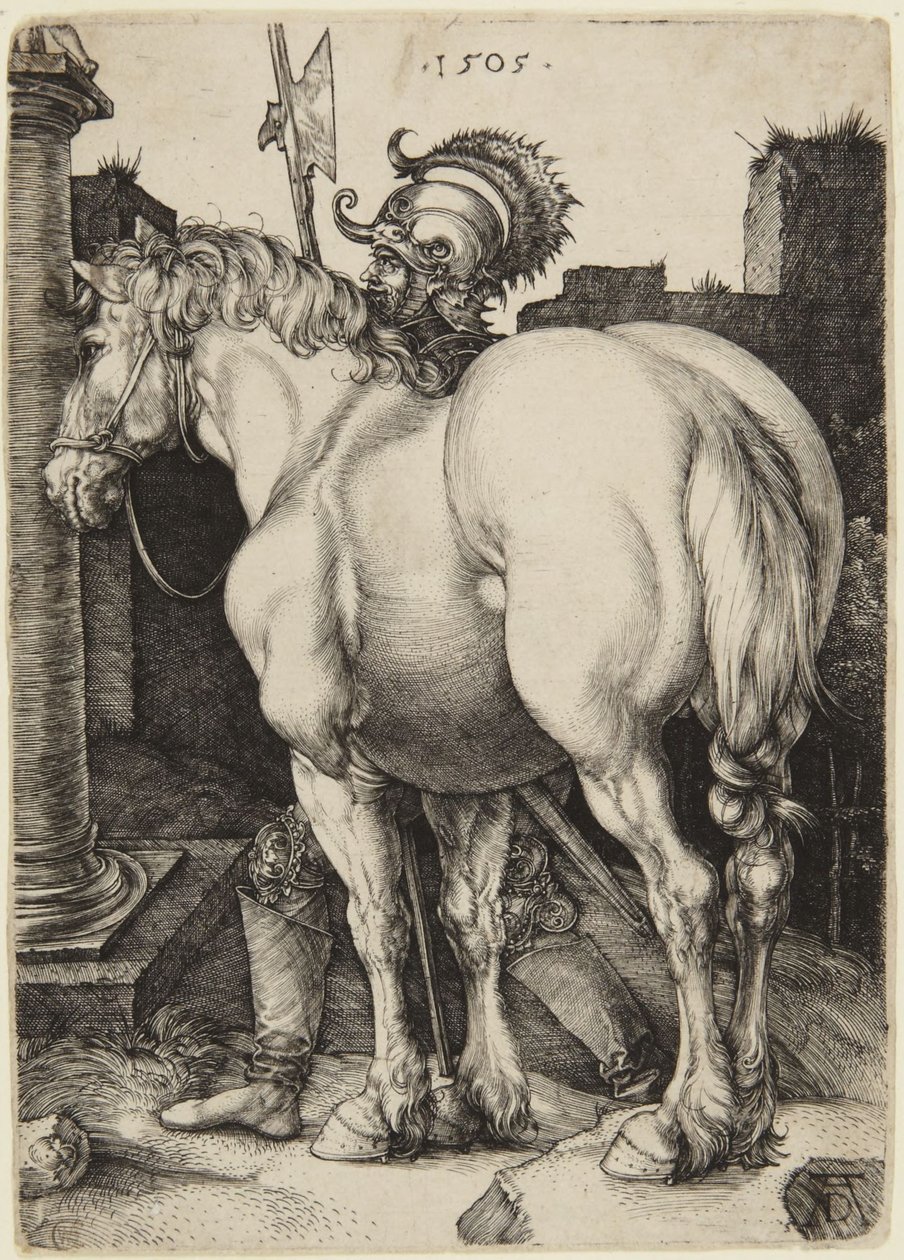 O grande cavalo de Albrecht Dürer