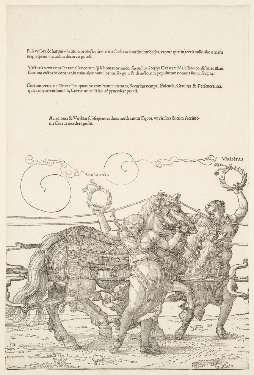 O grande carro triunfal: Acrimonia e Virilitas de Albrecht Dürer