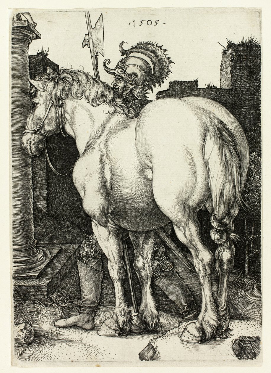 O Grande Cavalo de Albrecht Dürer