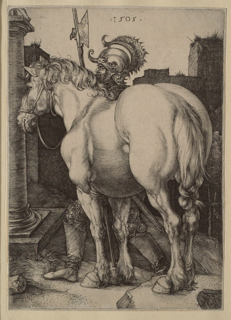 O grande cavalo de Albrecht Dürer