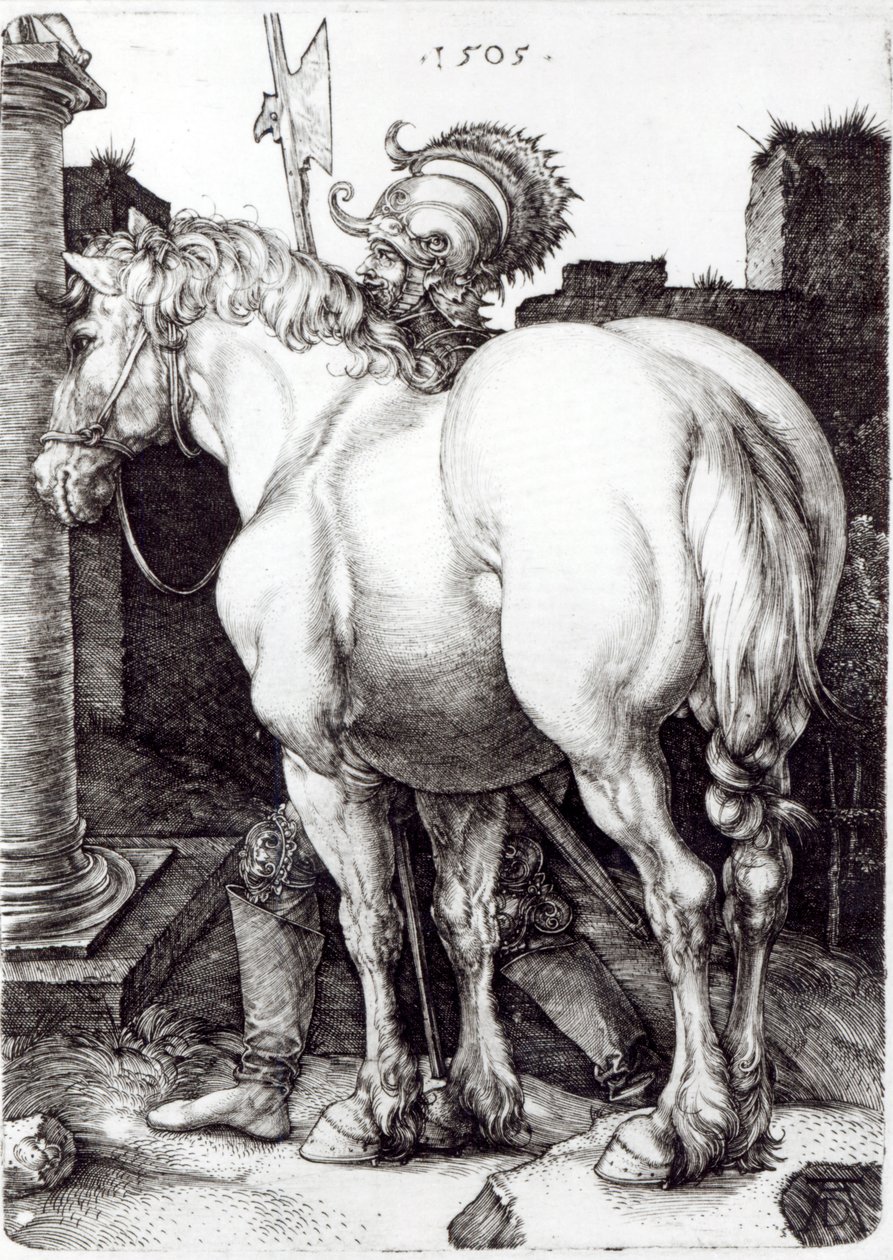 O grande cavalo, 1509 de Albrecht Dürer