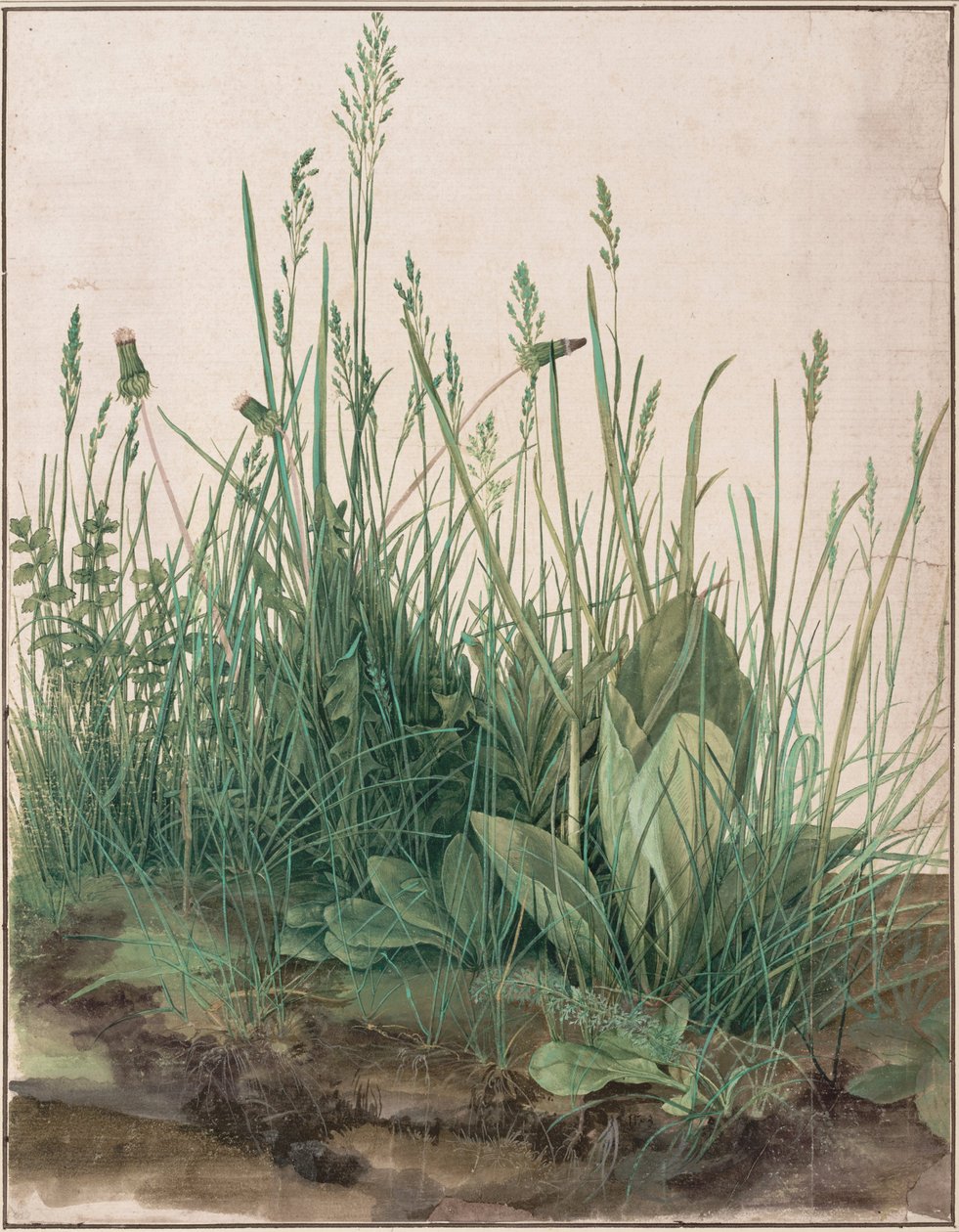 O grande pedaço de relva de Albrecht Dürer