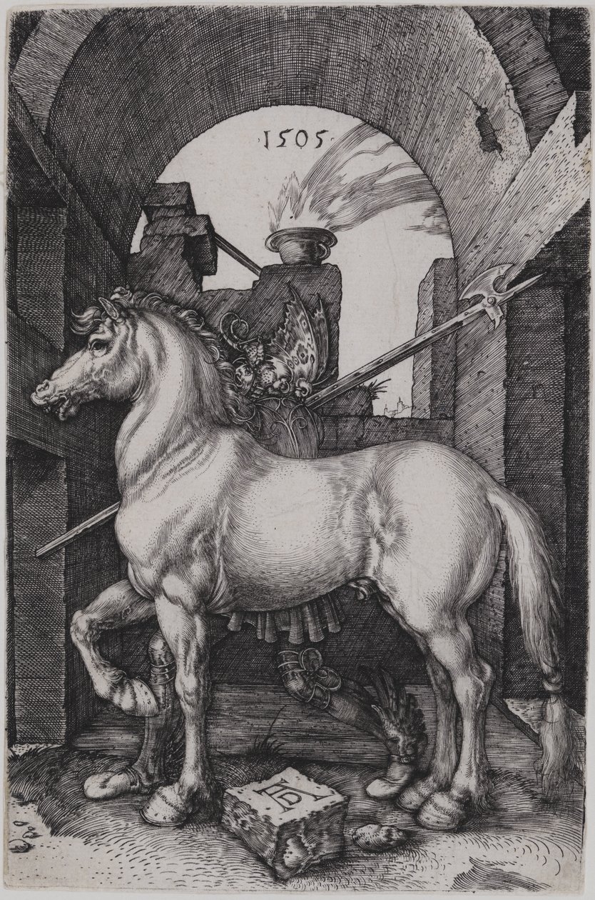 O cavalinho de Albrecht Dürer