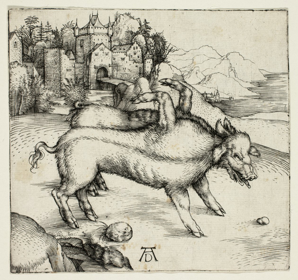 A porca monstruosa de Landser de Albrecht Dürer