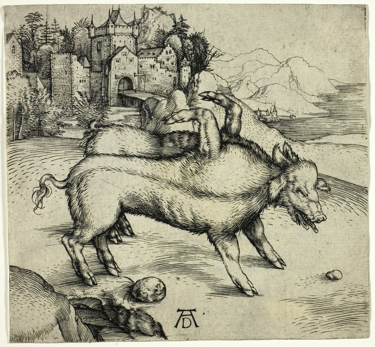 A porca monstruosa de Landser de Albrecht Dürer