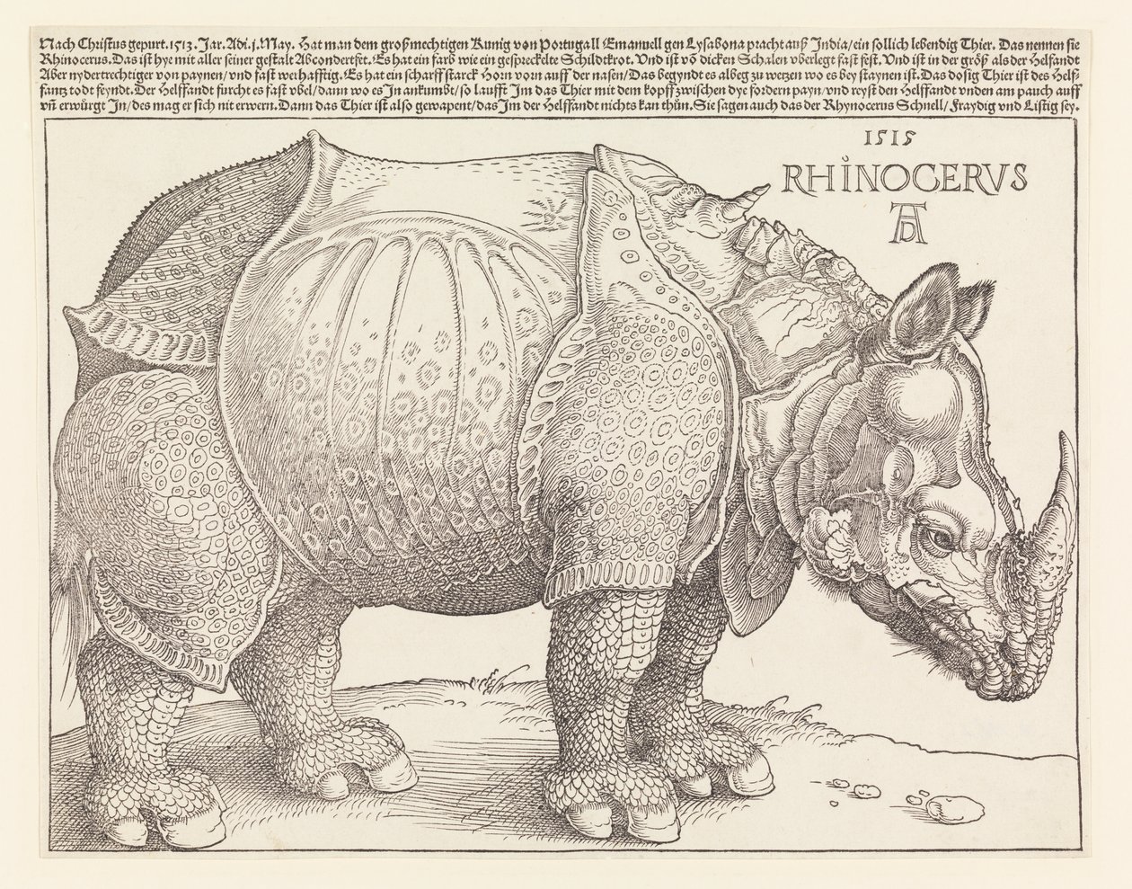 O Rinoceronte de Albrecht Dürer