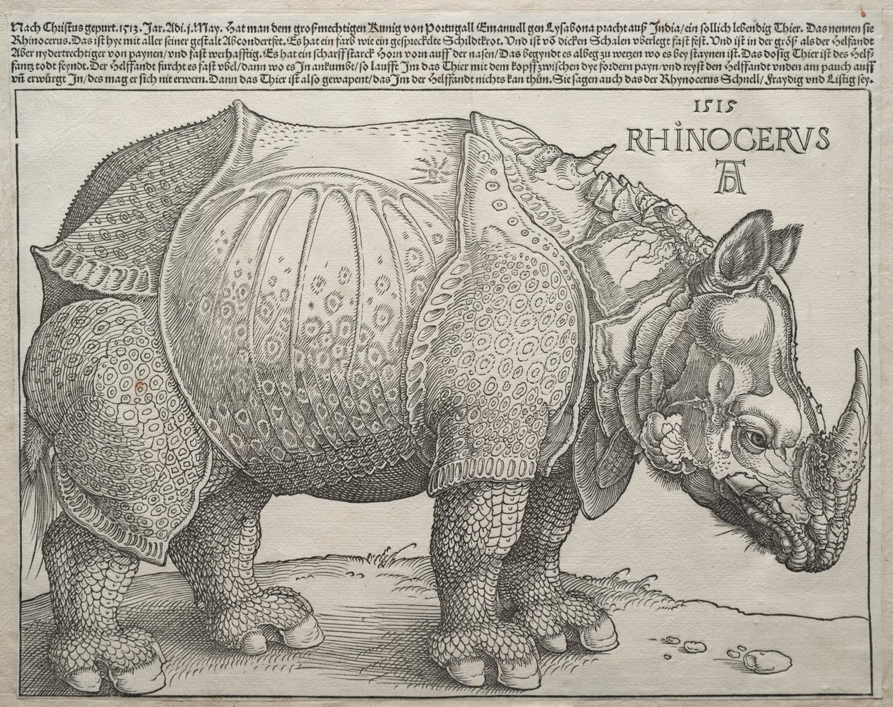 O Rinoceronte de Albrecht Dürer
