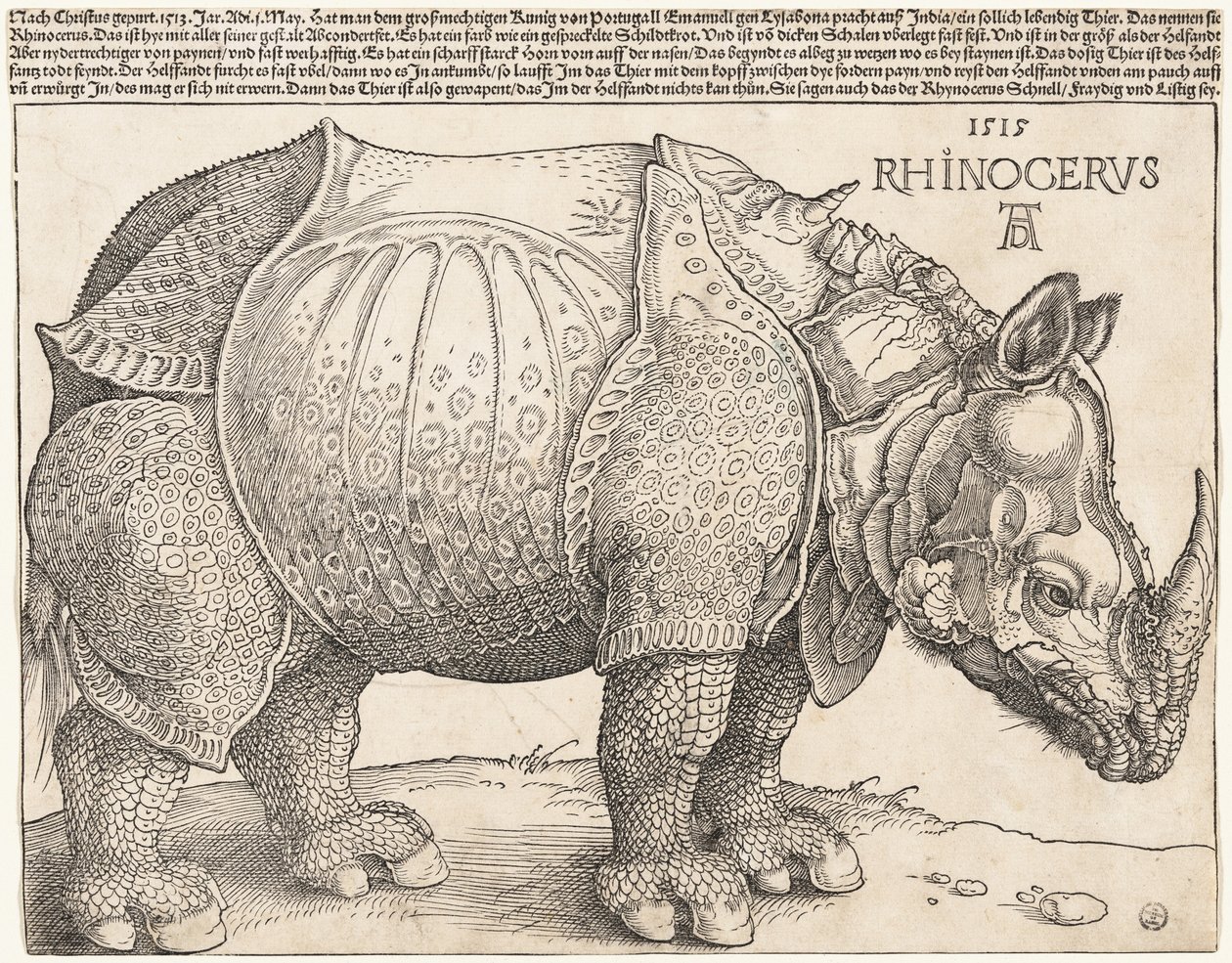 O rinoceronte de Albrecht Dürer