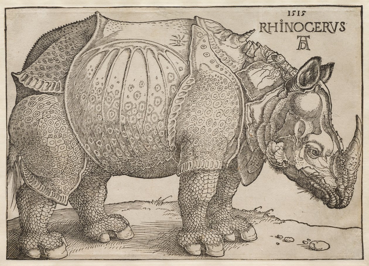 O rinoceronte de Albrecht Dürer