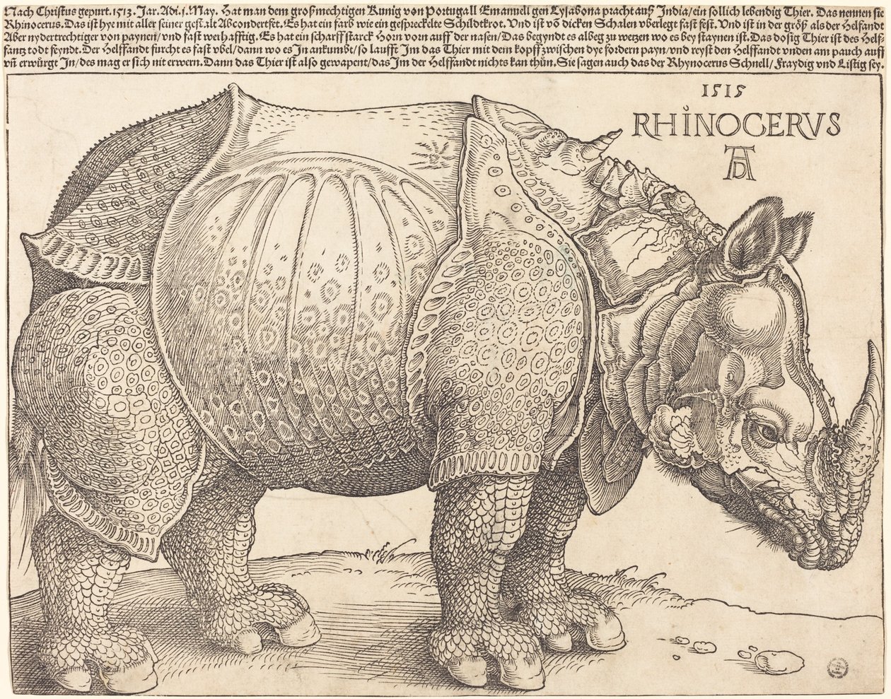 O Rinoceronte, 1515. de Albrecht Dürer