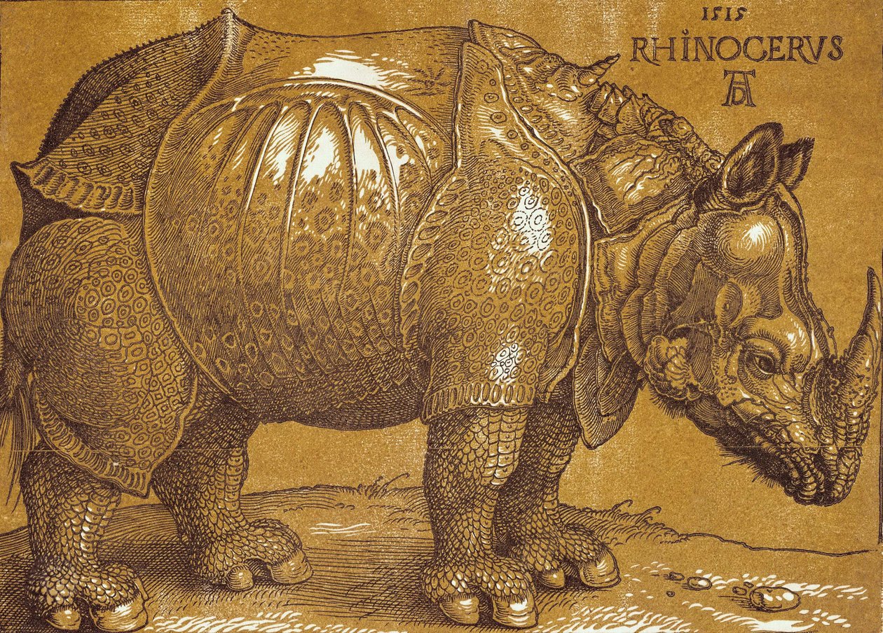 O Rinoceronte, 1515. de Albrecht Dürer