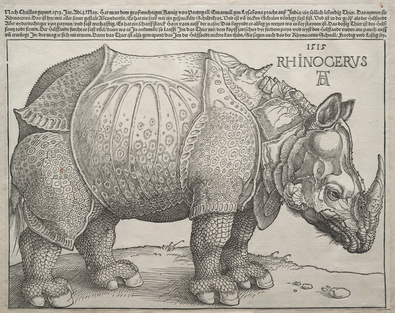 O Rinoceronte, 1515. de Albrecht Dürer