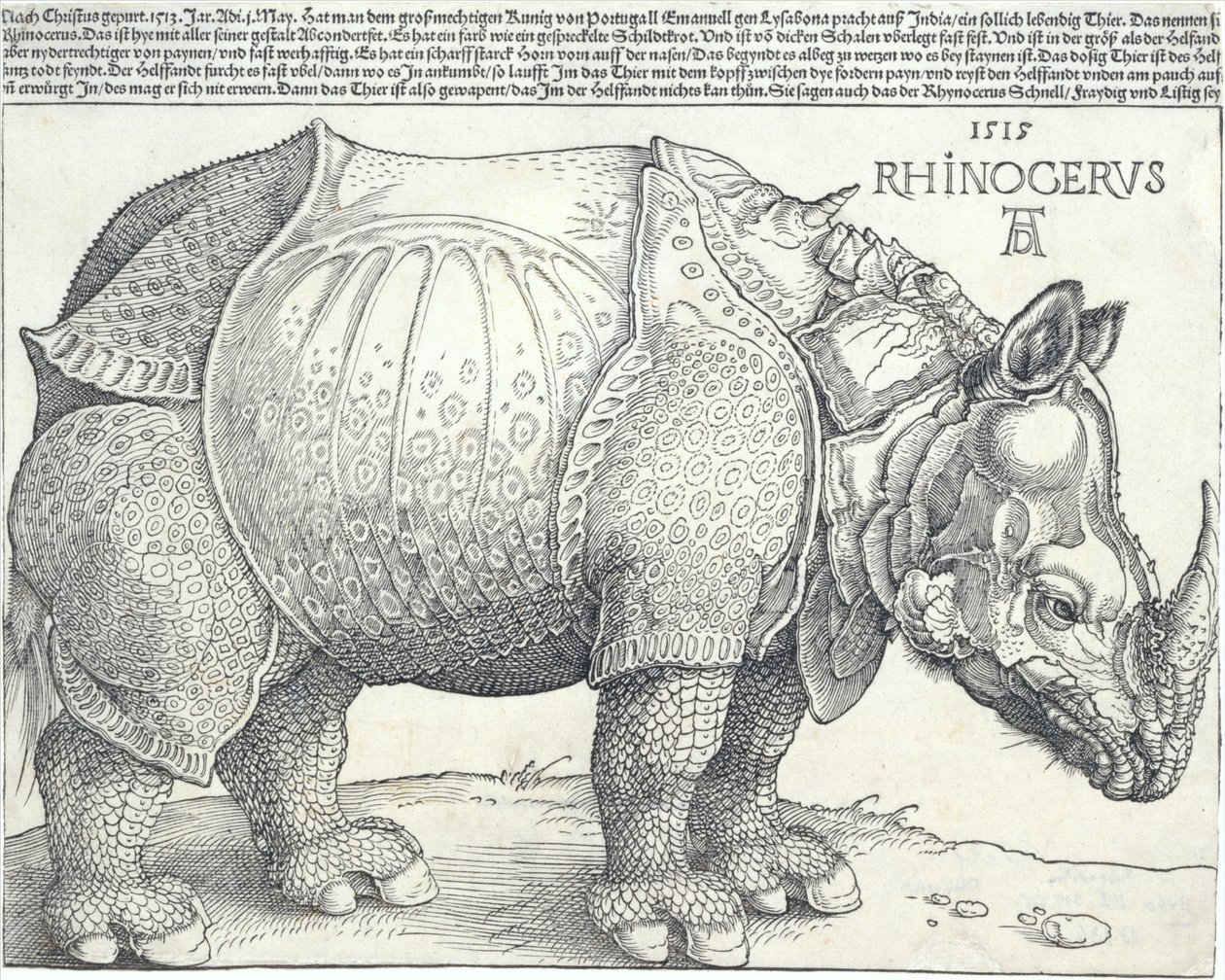 O Rinoceronte, 1515., 1515. de Albrecht Dürer