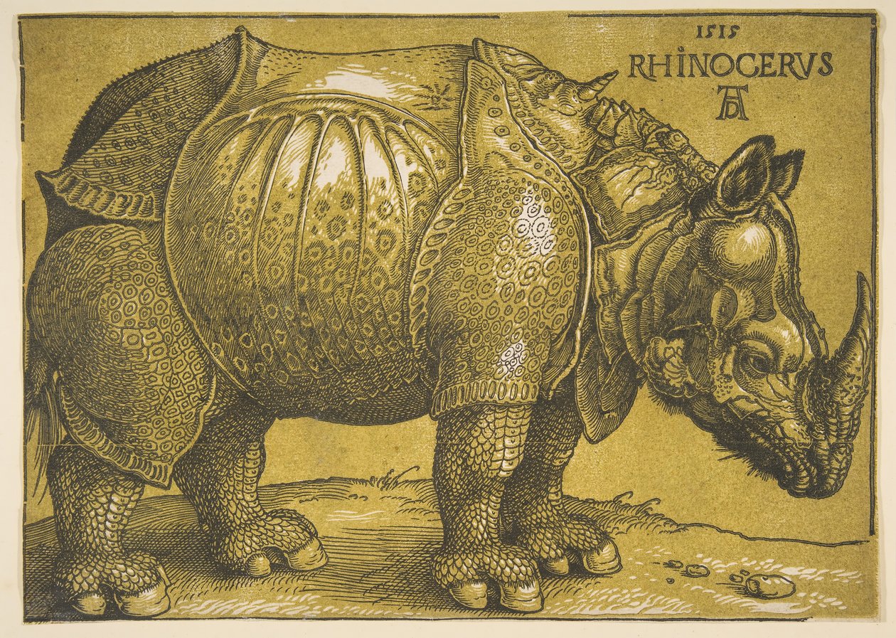 O rinoceronte, depois de 1620. de Albrecht Dürer