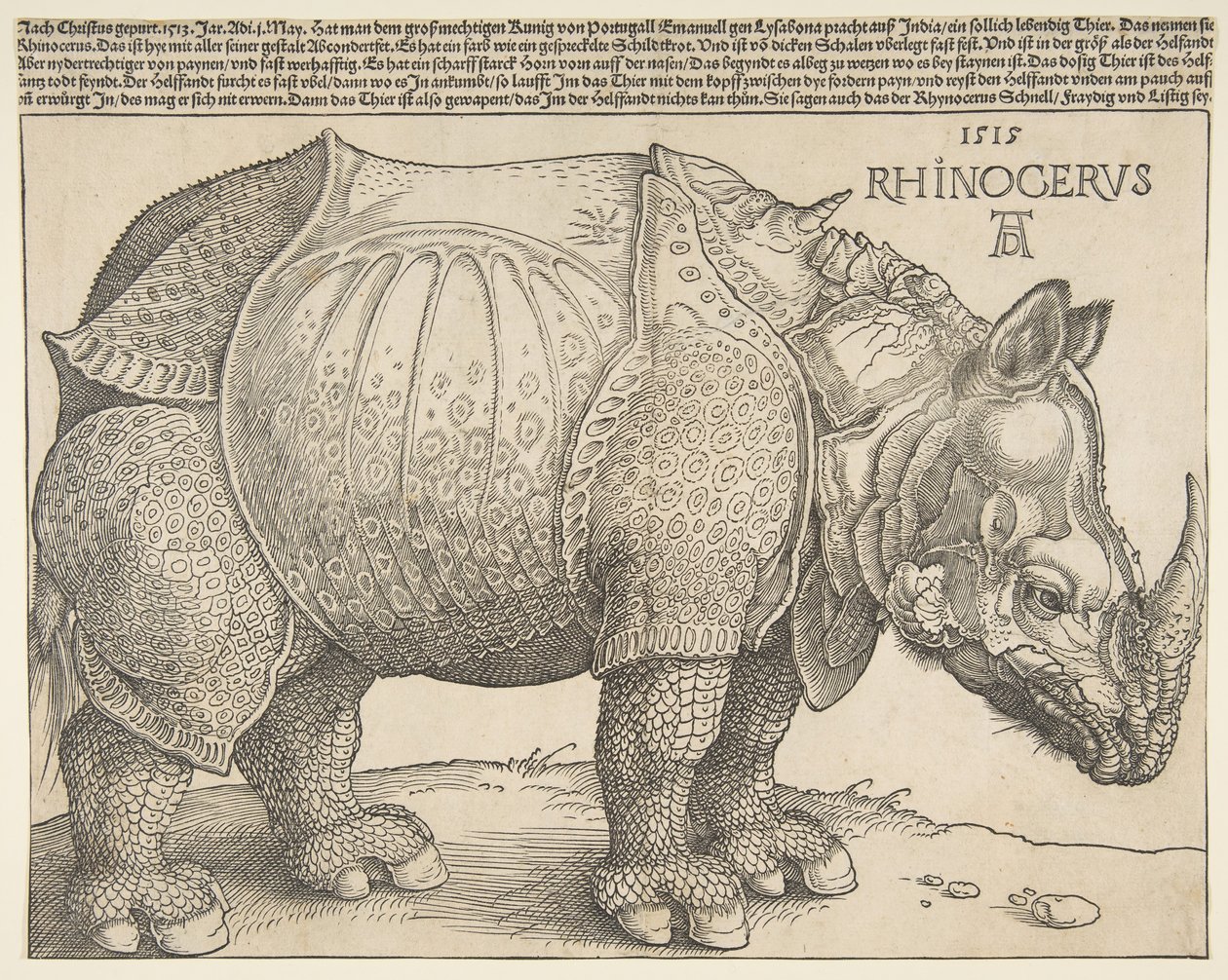 O Rhinoceros.n.d. de Albrecht Dürer
