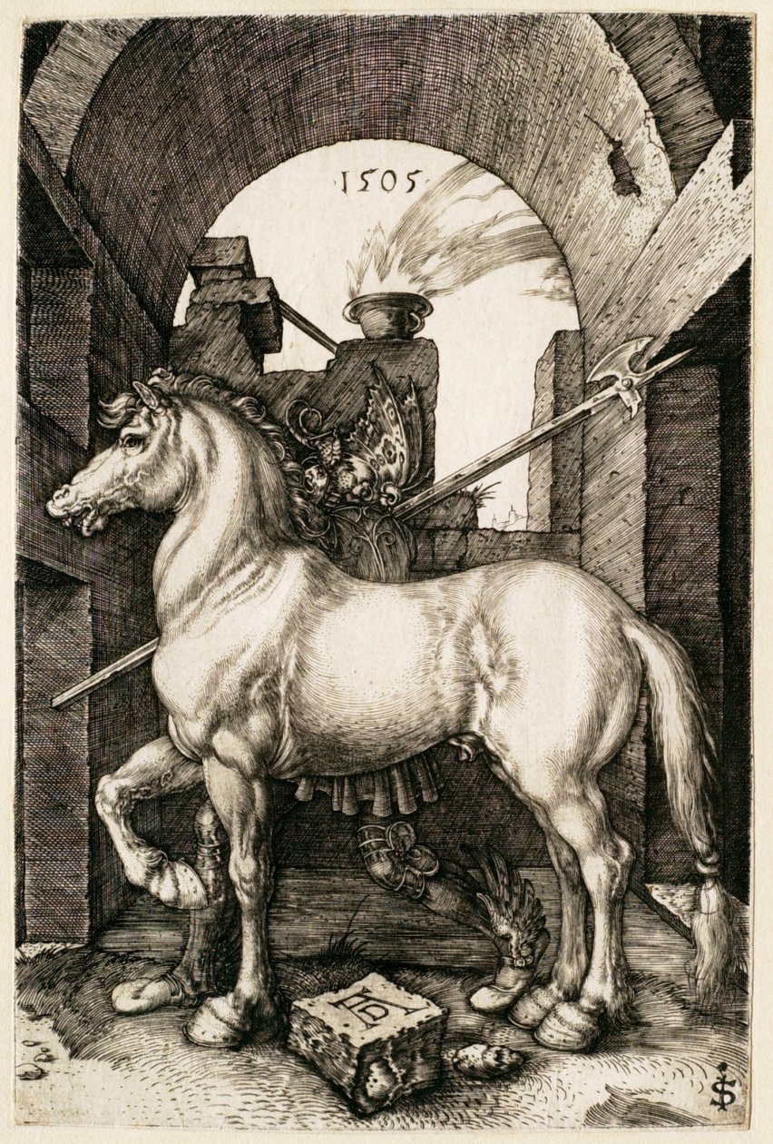O pequeno cavalo de Albrecht Dürer