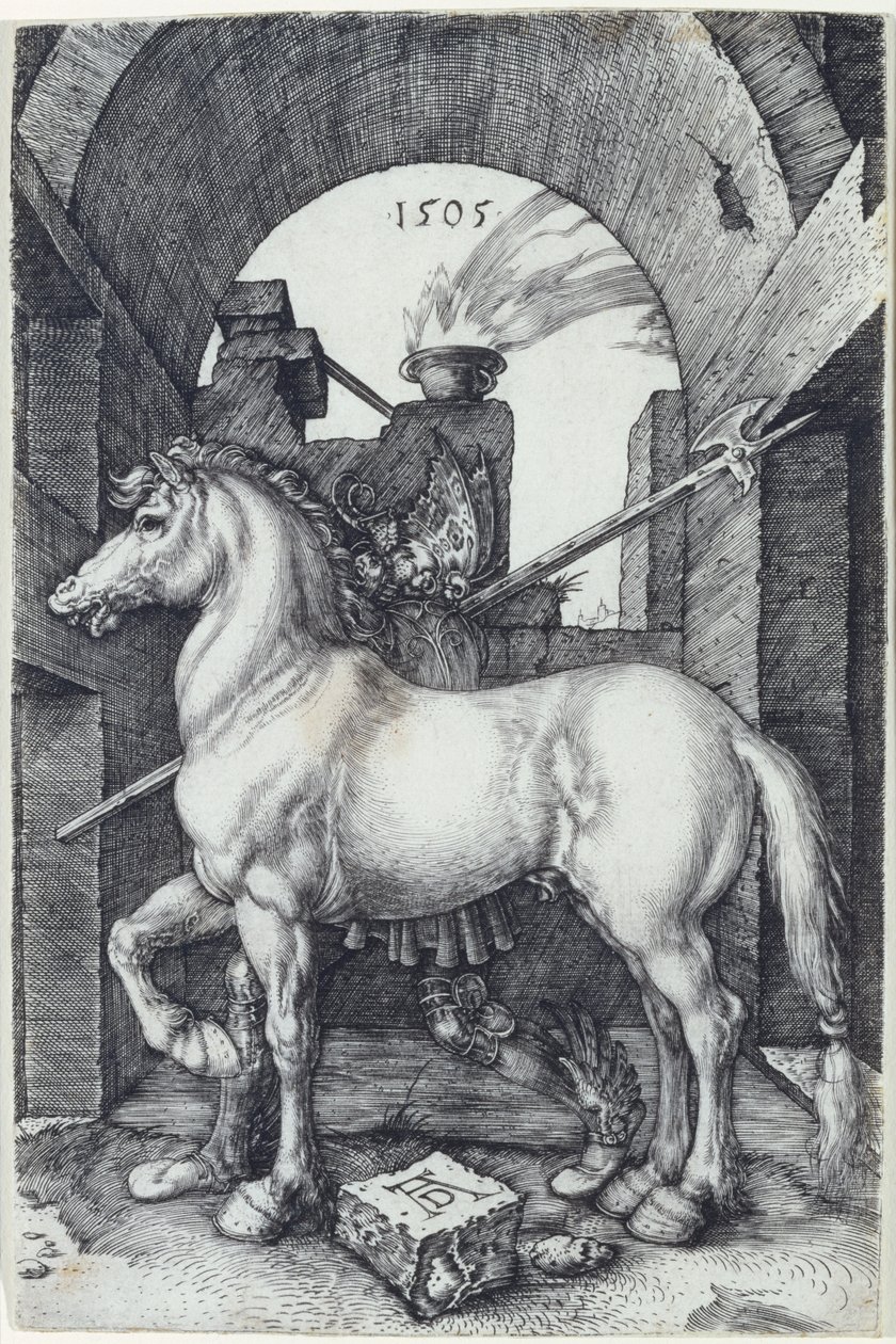 O cavalo pequeno, 1505 de Albrecht Dürer