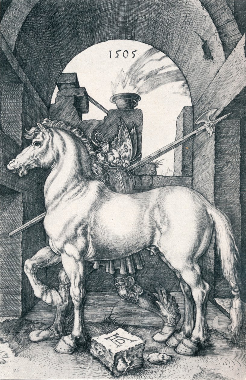O cavalo pequeno, 1505 1906 de Albrecht Dürer