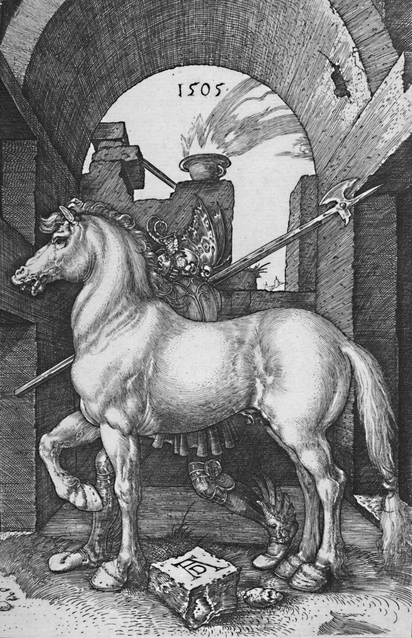 O cavalo pequeno, 1505, 1906 de Albrecht Dürer