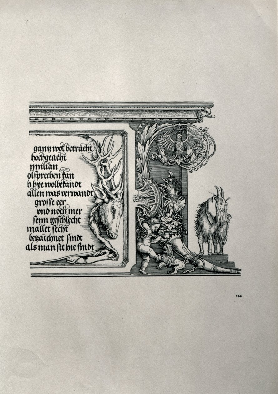 O Arco do Triunfo do Imperador Maximiliano I da Alemanha 1459-1519: detalhe de uma pele de veado com uma inscrição elogiando as conexões da família dos imperadores, com uma cabra de orelhas caídas, símbolo da intensidade do calor de Albrecht Dürer