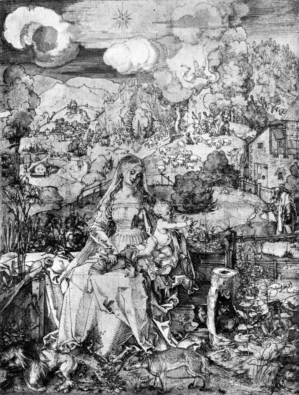 A Virgem e muitos animais, 1505, 1936 de Albrecht Dürer
