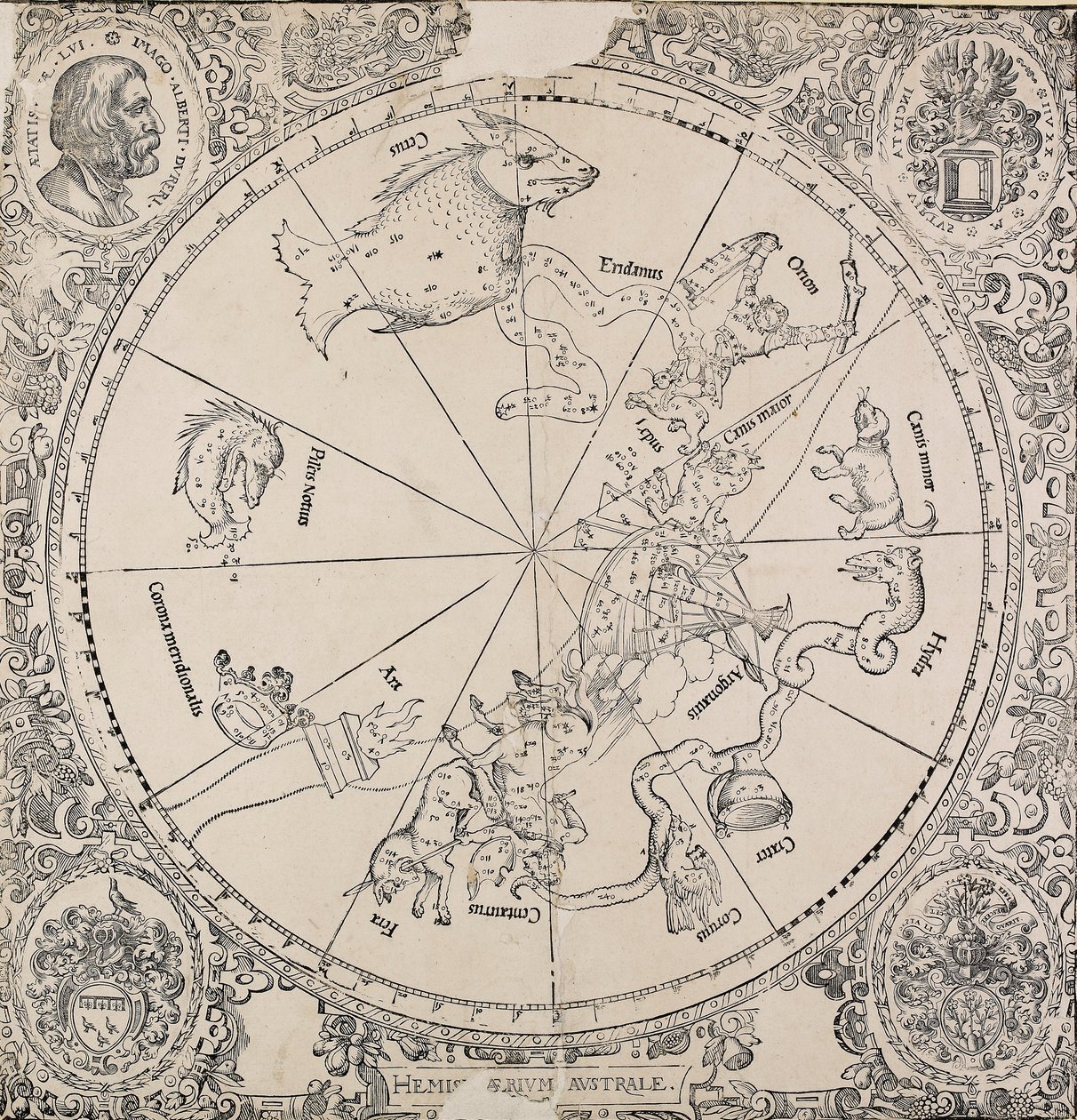 O mapa chelestial do hemisfério sul, início do século 16 de Albrecht Dürer