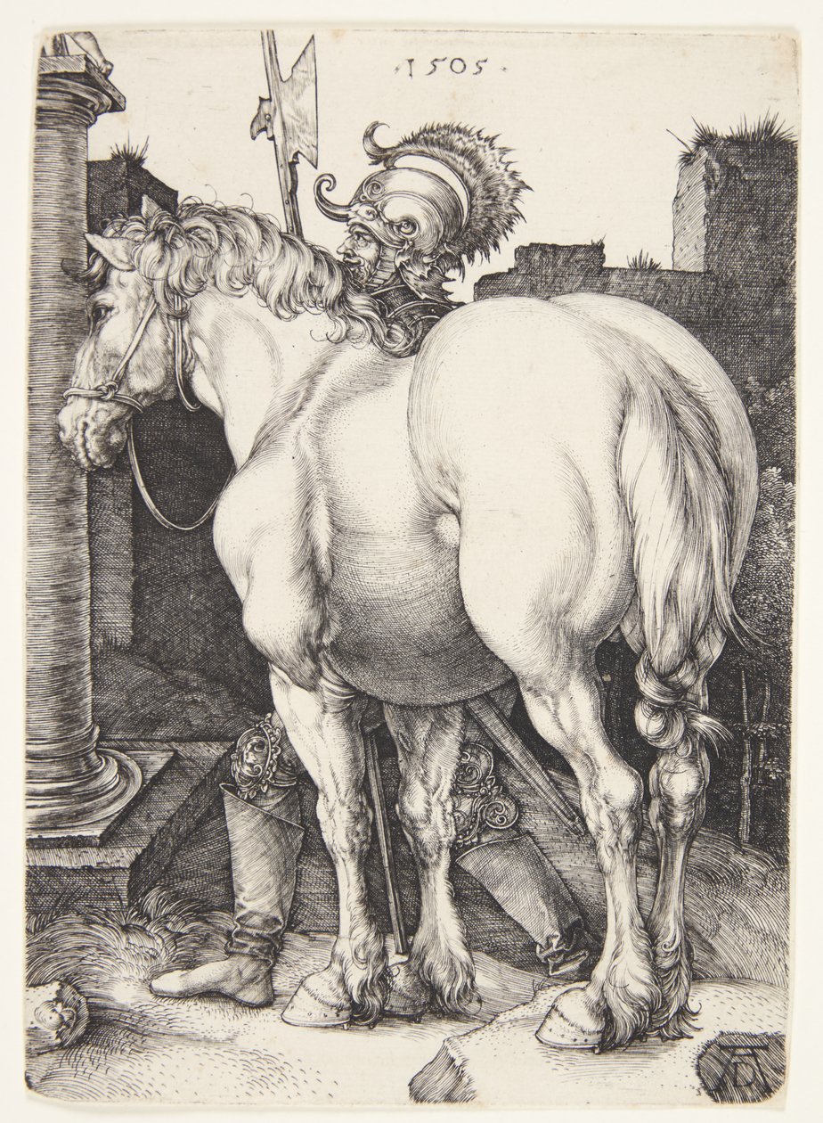 O grande cavalo de Albrecht Dürer