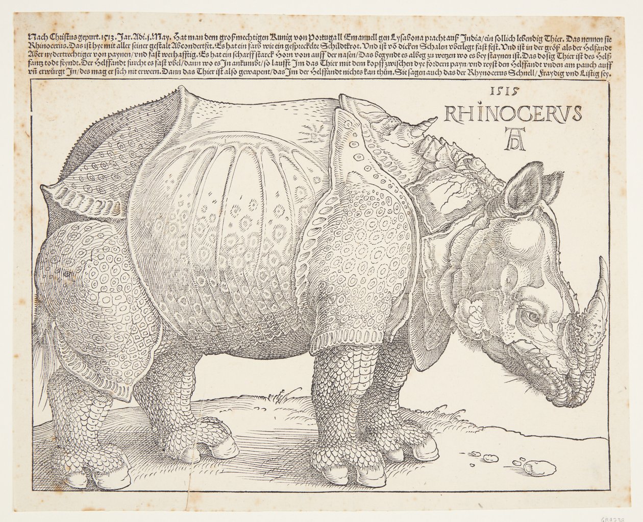 O rinoceronte de Albrecht Dürer