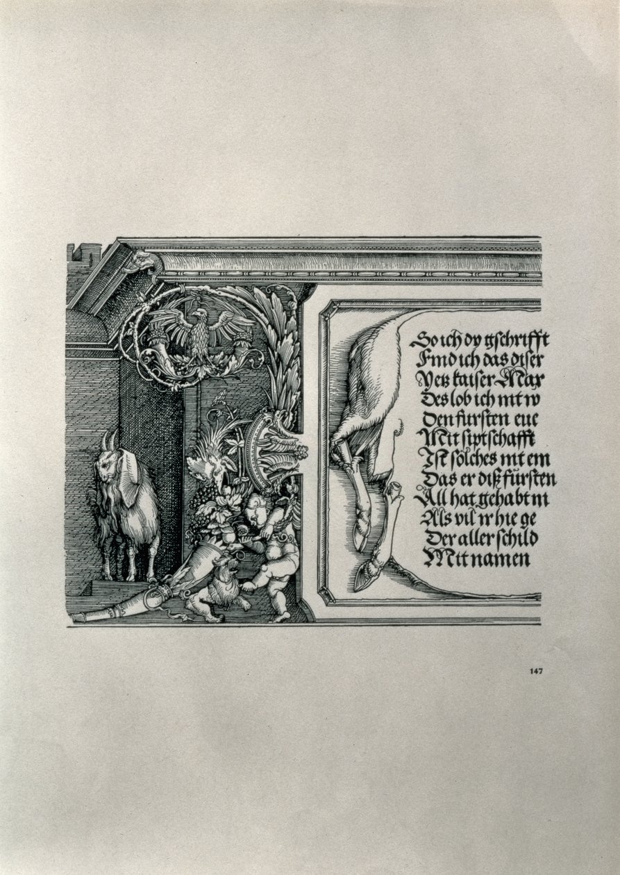 Arco do triunfo do imperador Maximiliano I da Alemanha 1459-1519: detalhe de uma pele de veado com uma inscrição que enaltecia as conexões da família dos imperadores, com uma cabra de orelhas caídas, símbolo de audição aguda de Albrecht Dürer