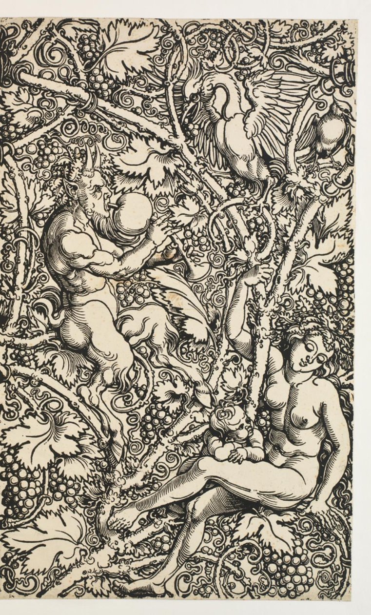 Dois desenhos para tapeçaria com satyrfamily de Albrecht Dürer