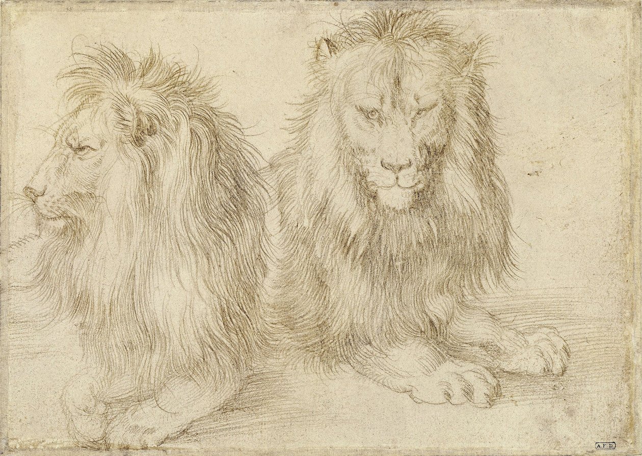 Dois leões sentados, 1521 de Albrecht Dürer