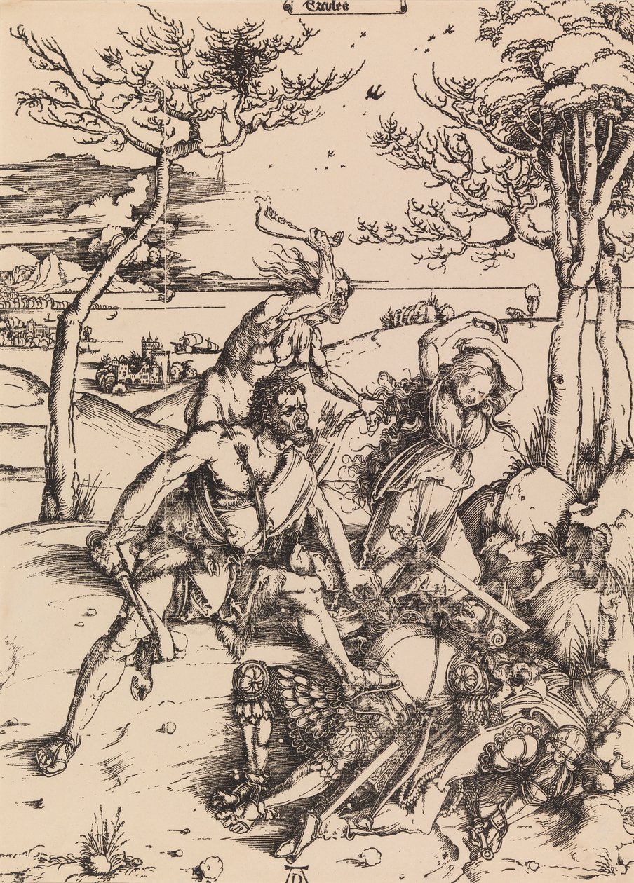 Sem título de Albrecht Dürer