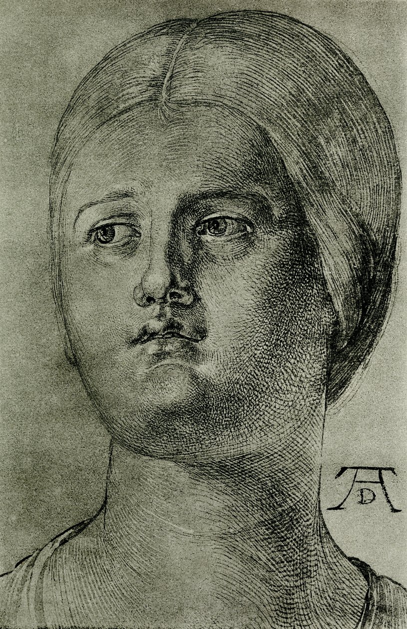 Cabeça de mulher veneziana de Albrecht Dürer