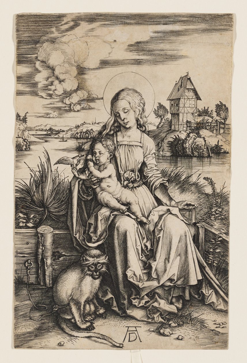 Virgem com o Menino e o macaco de Albrecht Dürer
