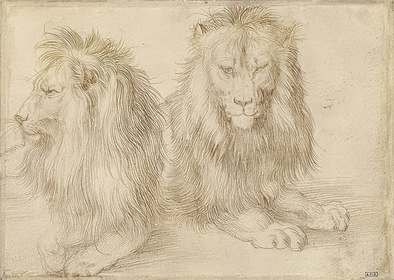 Dois leões mentirosos. 1521 de Albrecht Dürer