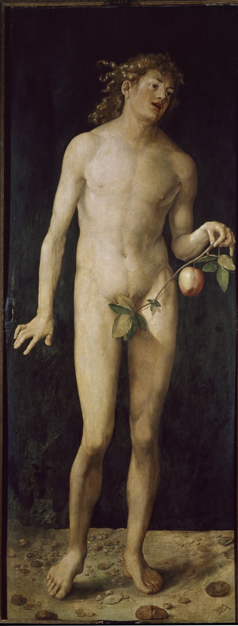 Adam (óleo sobre madeira de Albrecht Dürer