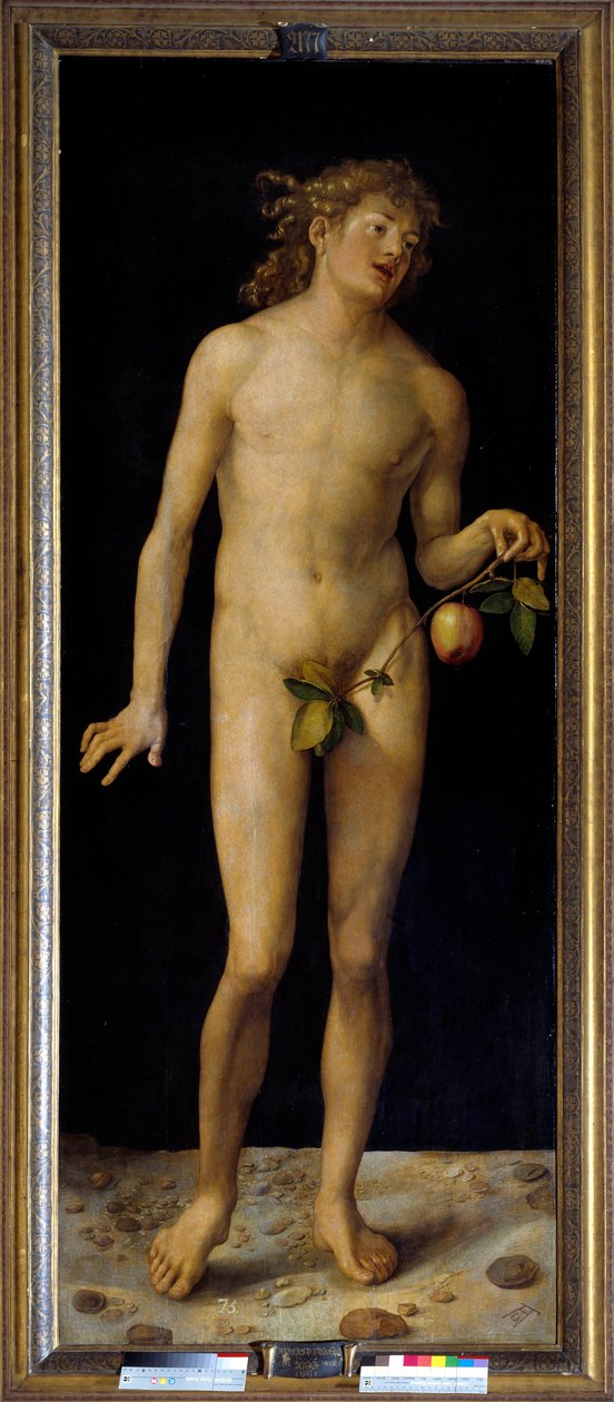 Adam Painting de Albrecht Durer (1471-1528) 1507 Sun. 2,09 x 0,80 m Madrid, Museu do Prado - Adam. Pintura de Albrecht Durer (1471-1528), óleo sobre painel de Albrecht Dürer