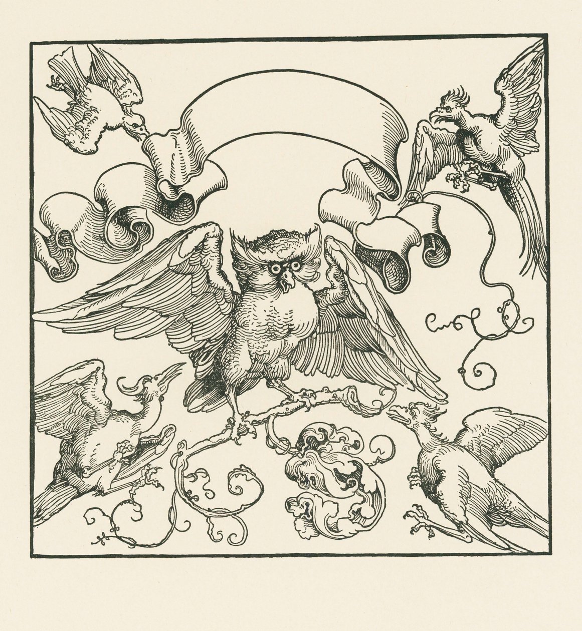 Uma coruja atacada por quatro outras aves, c.1515 (xilogravura) de Albrecht Dürer or Duerer