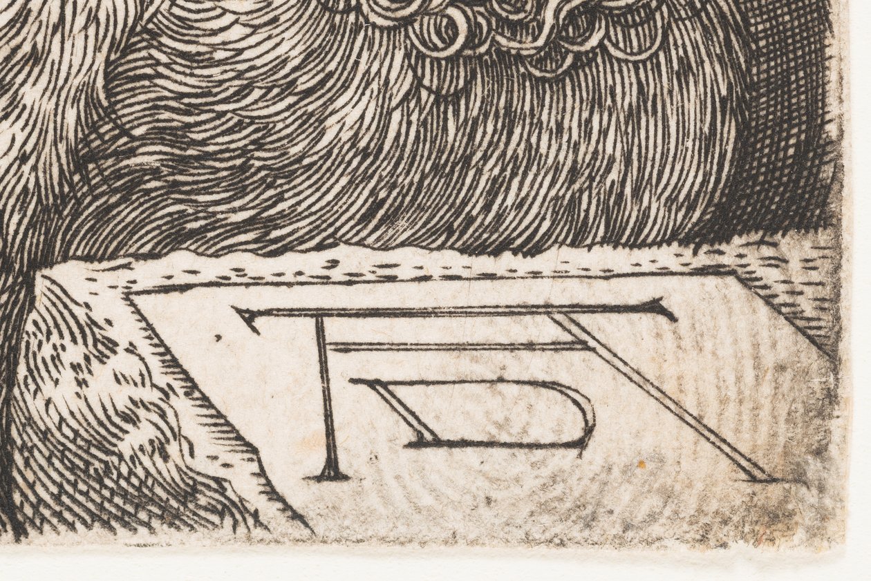  de Albrecht Dürer or Duerer