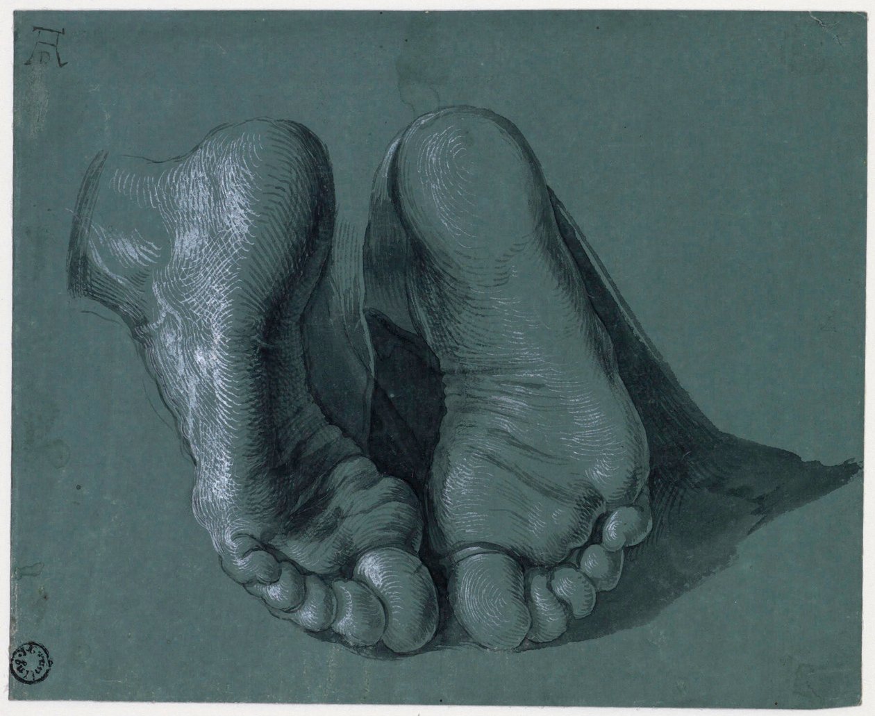 Etude de pieds - Estudo de Dois Pés - Desenho de Albrecht Durer (1471-1528), Aguarela, cor branca, giz preto sobre papel, c1508 (17,6x21,6cm) - Museu Boijmans Van Beuningen, Roterdão de Albrecht Dürer