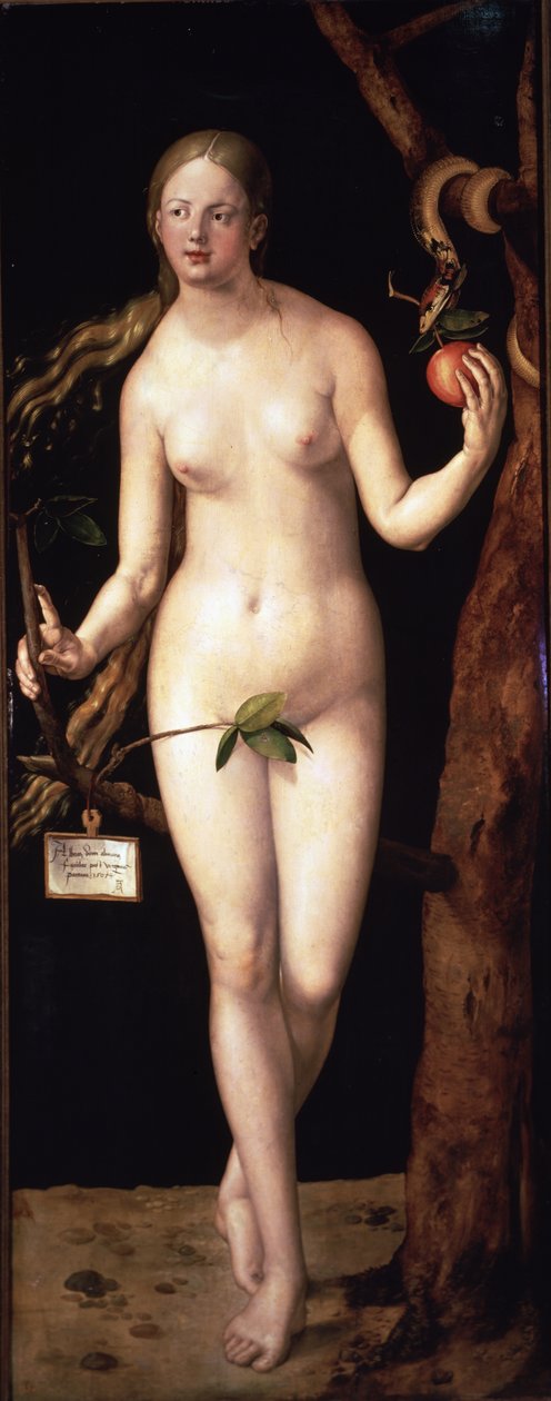  de Albrecht Dürer or Duerer