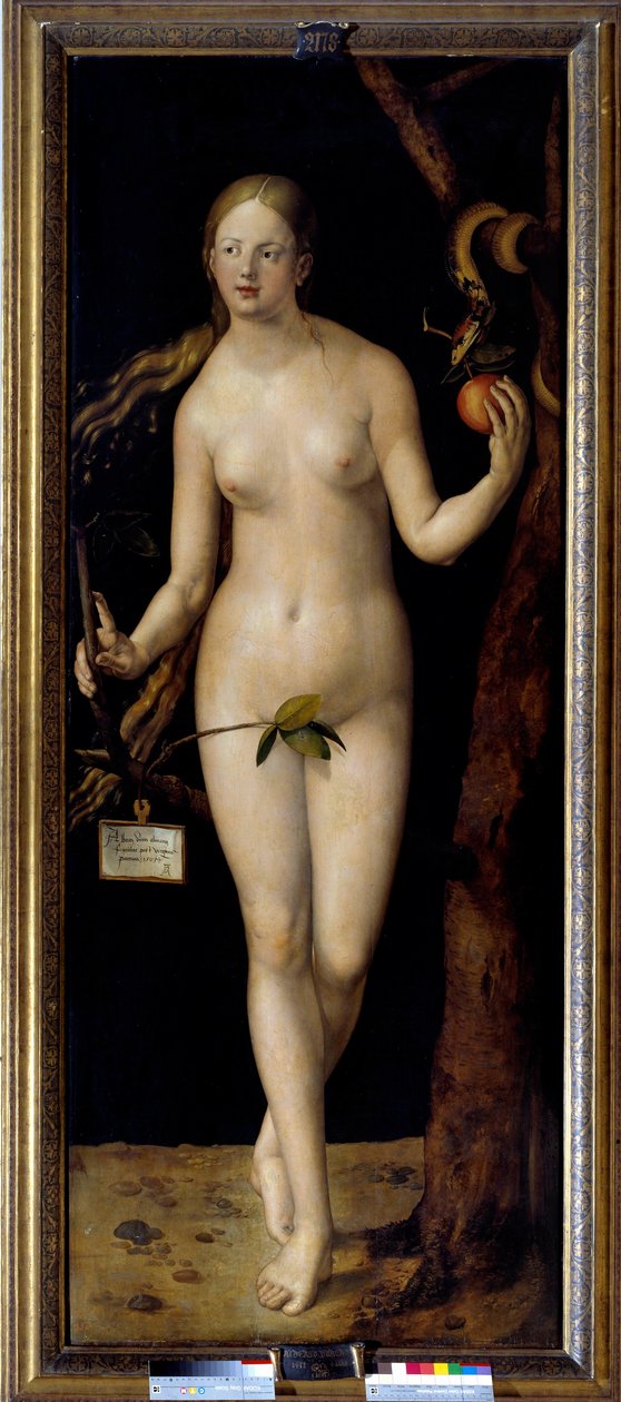 Eve Pintura de Albrecht Durer (1471-1528), óleo sobre madeira de Albrecht Dürer
