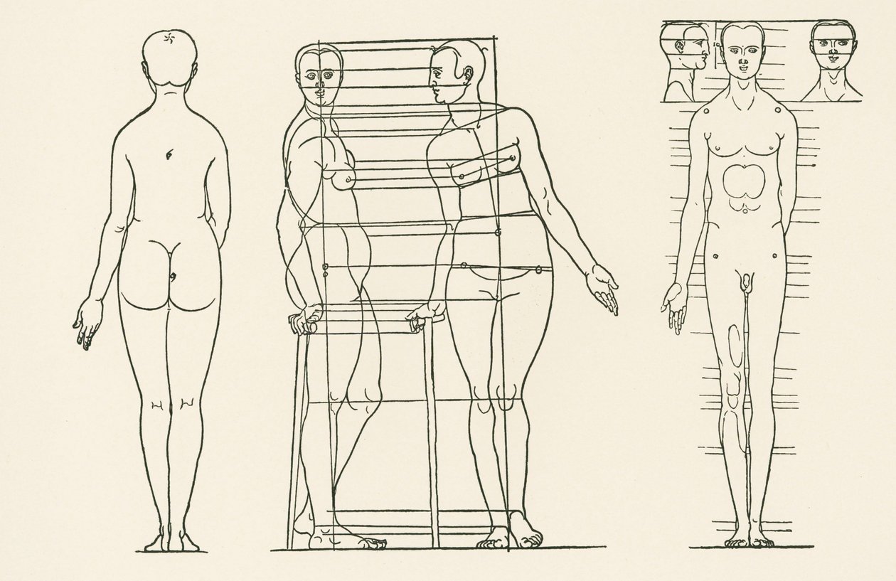 Ilustração do Tratado sobre os Princípios da Proporção, de Albrecht Duerer de Albrecht Dürer or Duerer