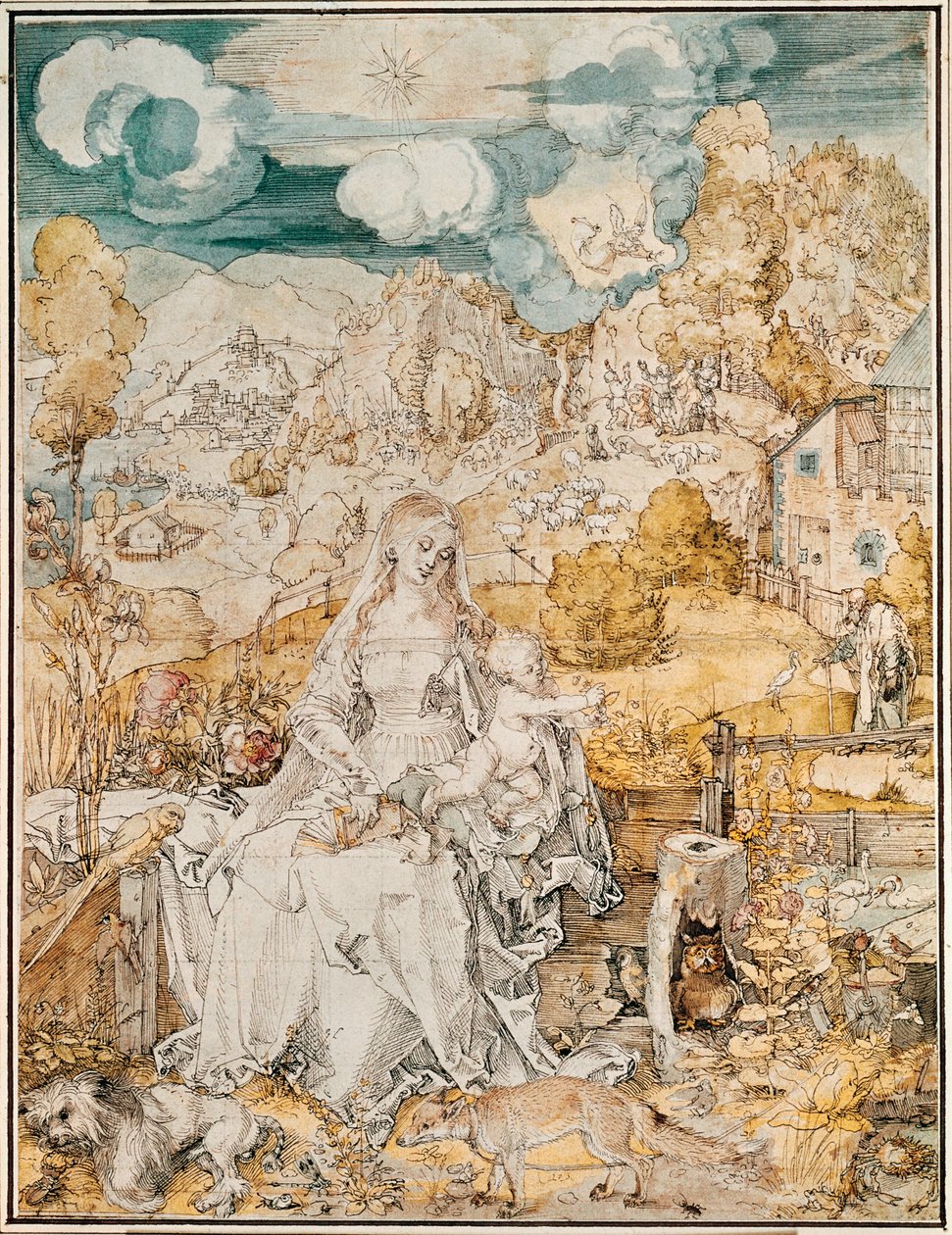 Madona com uma multidão de animais (aguarela, caneta e pincel sobre papel) de Albrecht Dürer or Duerer