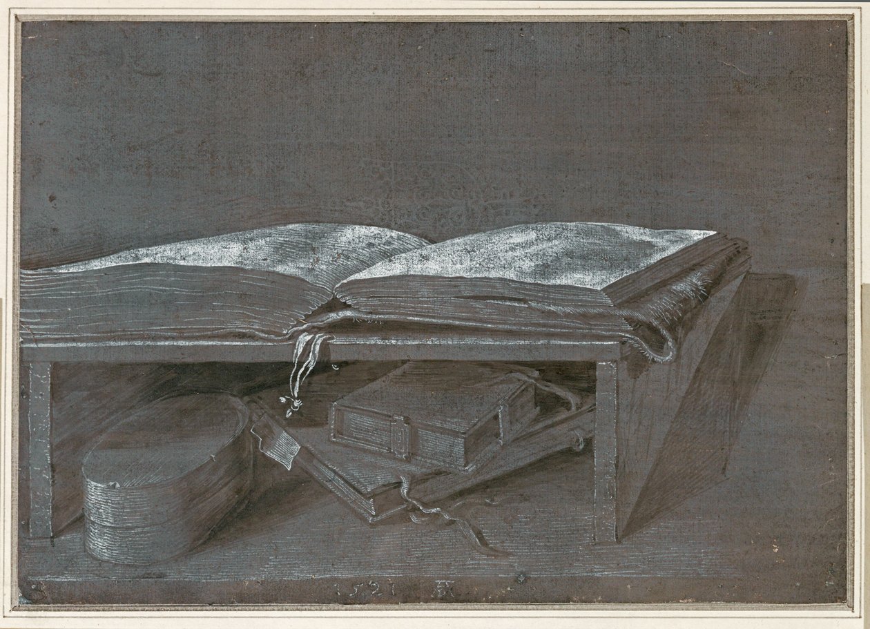 Livro aberto (desenho a pincel sobre papel castanho) de Albrecht Dürer or Duerer