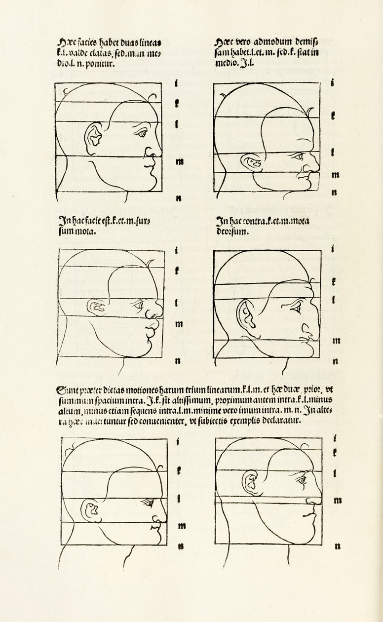 Proporções da cabeça humana de "Hierinn sind begriffen vier bücher von menschlicher Proporção" (Quatro livros de proporção humana) de Albrecht Dürer