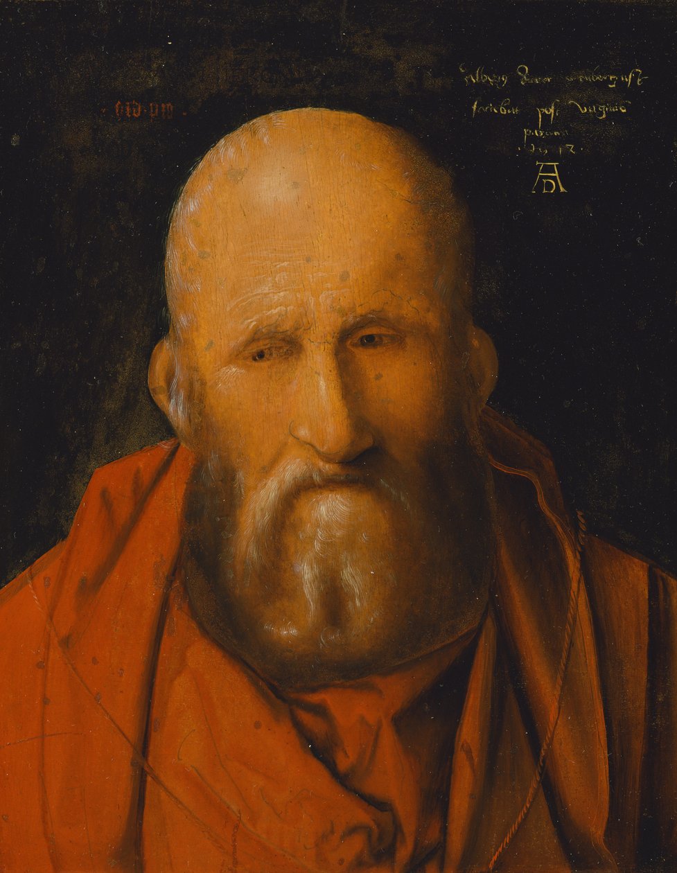 São Jerónimo de Albrecht Dürer